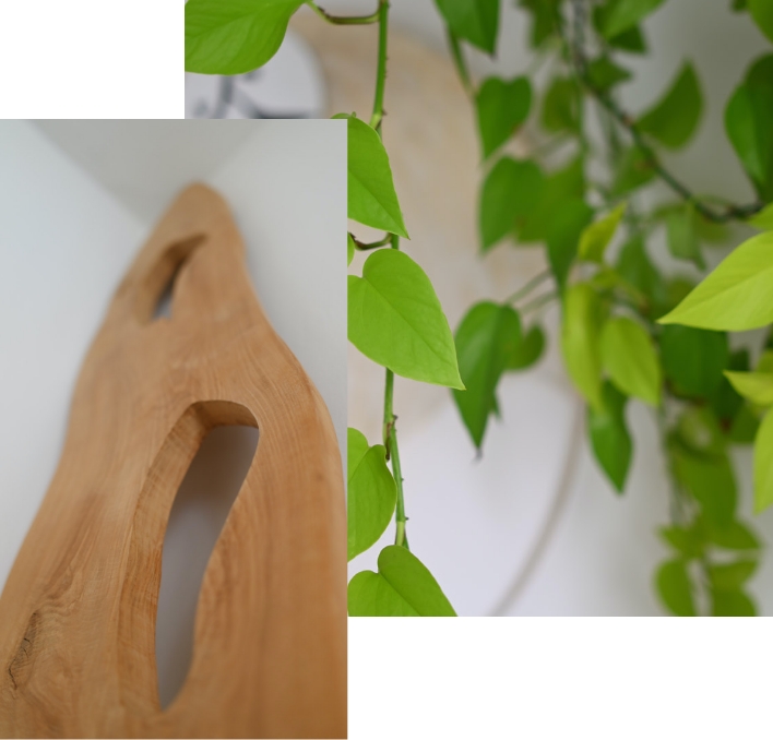 Zimmerpflanze und Holzelement im Praxisraum